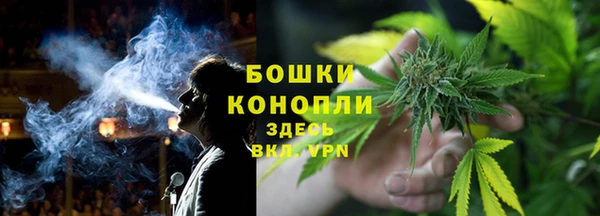 ГАЛЛЮЦИНОГЕННЫЕ ГРИБЫ Армянск