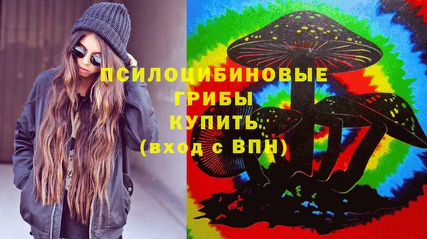прущий лед Аркадак